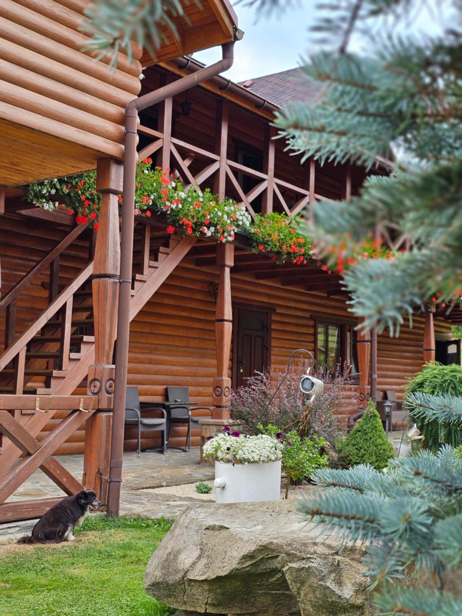Guesthouse Kolo Druziv Tatariv Ngoại thất bức ảnh